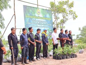 โครงการอนุรักษ์สิ่งแวดล้อมและทรัพยากรธรรมชาติ
